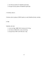 Biznesa plāns 'Biznesa plāns "Moto taxi"', 43.