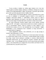 Referāts 'Lauku tūrisms', 3.