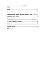 Referāts 'Bērna ar UDHS novērojums', 1.