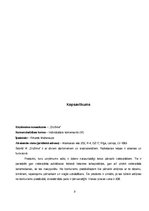 Biznesa plāns 'Biznesa plāns', 3.