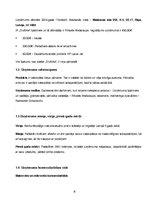 Biznesa plāns 'Biznesa plāns', 6.