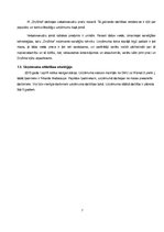 Biznesa plāns 'Biznesa plāns', 7.