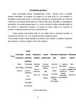 Biznesa plāns 'Biznesa plāns', 8.