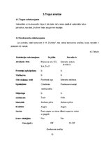 Biznesa plāns 'Biznesa plāns', 10.