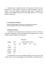 Biznesa plāns 'Biznesa plāns', 11.