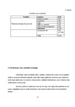 Biznesa plāns 'Biznesa plāns', 13.