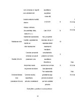 Biznesa plāns 'Biznesa plāns', 19.