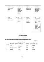 Biznesa plāns 'Biznesa plāns', 23.