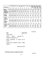 Biznesa plāns 'Biznesa plāns', 26.