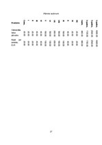 Biznesa plāns 'Biznesa plāns', 27.