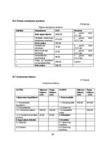 Biznesa plāns 'Biznesa plāns', 29.