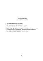 Biznesa plāns 'Biznesa plāns', 31.