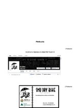 Biznesa plāns 'Biznesa plāns', 32.