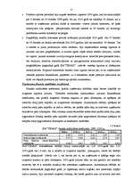 Diplomdarbs 'Ražošanas uzņēmuma budžeta plānošana', 15.