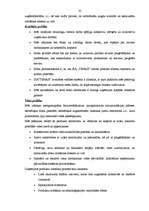 Diplomdarbs 'Ražošanas uzņēmuma budžeta plānošana', 22.