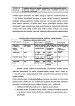 Diplomdarbs 'Ražošanas uzņēmuma budžeta plānošana', 29.