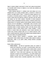 Diplomdarbs 'Ražošanas uzņēmuma budžeta plānošana', 32.