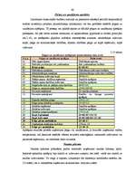 Diplomdarbs 'Ražošanas uzņēmuma budžeta plānošana', 46.