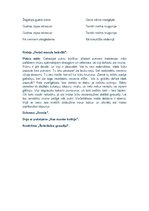 Konspekts 'Es pazinu to putniņu', 3.