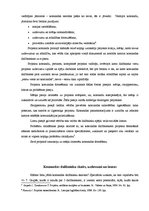 Referāts 'Projekta komandas vadīšana', 5.