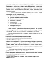 Referāts 'Projekta komandas vadīšana', 6.