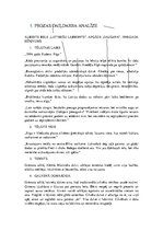 Konspekts 'Alberta Bella romāna "Latviešu labirints" un Imanta Ziedoņa dzejas krājuma "Gais', 1.