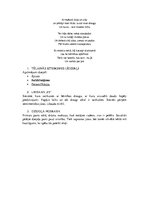 Konspekts 'Alberta Bella romāna "Latviešu labirints" un Imanta Ziedoņa dzejas krājuma "Gais', 9.