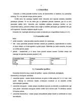 Referāts 'Psihiskās izziņas procesi', 8.