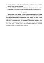 Referāts 'Psihiskās izziņas procesi', 9.