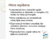 Prezentācija 'Hlors', 4.