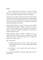 Referāts 'Gaisa transportlīdzekļi', 3.