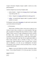 Referāts 'Gaisa transportlīdzekļi', 14.