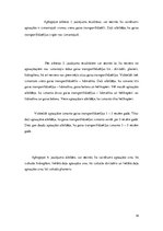 Referāts 'Gaisa transportlīdzekļi', 18.