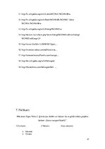 Referāts 'Gaisa transportlīdzekļi', 21.