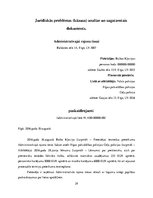 Prakses atskaite 'Prakses atskaite tiesā', 29.