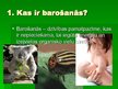 Prezentācija 'Barošanās', 2.