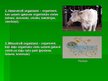 Prezentācija 'Barošanās', 9.