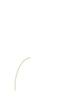 Paraugs 'Autokorelācija', 19.