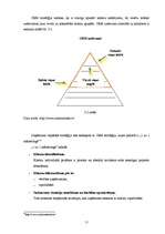 Referāts 'CRM ieviešanas problēmas Latvijas bankās', 11.