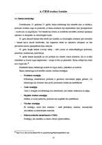 Referāts 'CRM ieviešanas problēmas Latvijas bankās', 22.