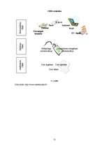 Referāts 'CRM ieviešanas problēmas Latvijas bankās', 25.