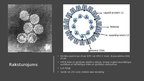 Prezentācija 'Vakcīna pret papilomas vīrusu', 2.