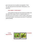 Konspekts 'Latvijas dabas rezervāti', 6.