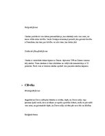 Konspekts 'Domāšanas formas - mitoloģiskā, reliģiskā un zinātniski filosofiskā', 5.