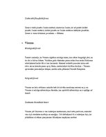 Konspekts 'Domāšanas formas - mitoloģiskā, reliģiskā un zinātniski filosofiskā', 7.