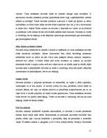 Referāts 'Reliģisko organizāciju attieksme pret sievietēm Latvijā', 21.