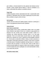 Referāts 'Reliģisko organizāciju attieksme pret sievietēm Latvijā', 25.