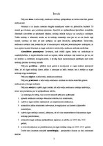 Referāts 'Iedzīvotāju ienākuma nodokļa aprēķināšana no darba attiecībās gūtiem ienākumiem', 3.