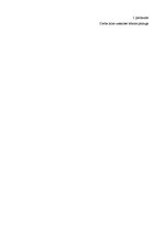 Referāts 'Iedzīvotāju ienākuma nodokļa aprēķināšana no darba attiecībās gūtiem ienākumiem', 31.