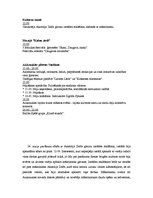 Paraugs 'Pasākuma veidošana', 3.